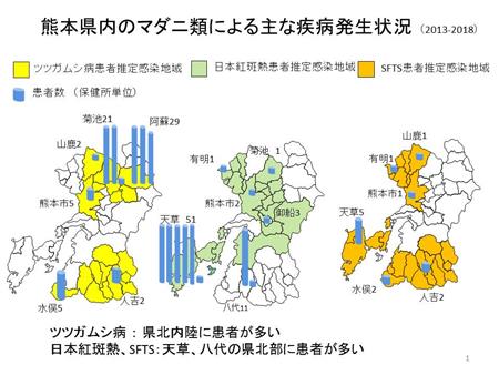 図3の画像3