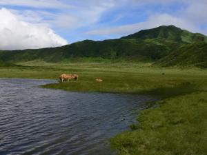 草千里の画像