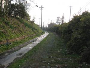 鉄道敷の写真です