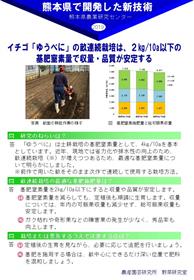 イチゴ「ゆうべに」の畝連続栽培は、2kg/10a以下の基肥窒素量で収量・品質が安定する