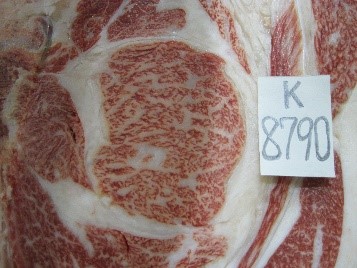 早期肥育（枝肉)の画像