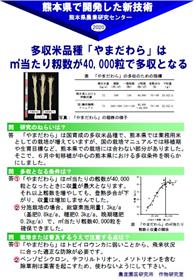 平坦地域で水稲品種「やまだわら」が多収となる平方メートル当たり籾数は40,000粒である