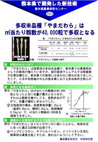 平坦地域で水稲品種「やまだわら」が多収となる平方メートル当たり籾数は40,000粒である