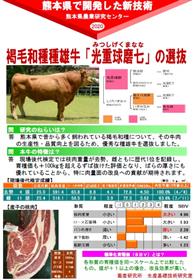 褐毛和種種雄牛「光重球磨七」の選抜