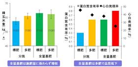 酒米「華錦」は平たん地で普通気に被覆尿素肥料の全量基肥で栽培すれば増収するの画像