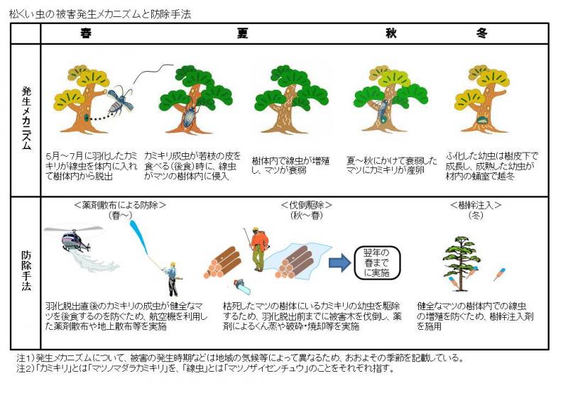 被害発生メカニズムと防除手法