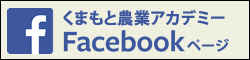 フェイスブック