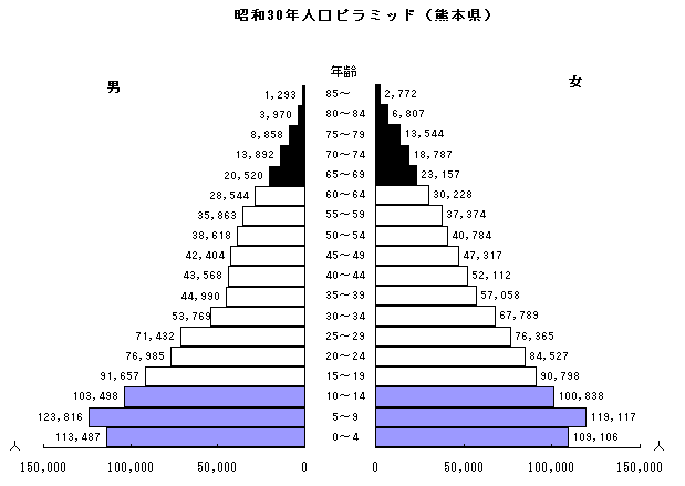 昭和30年人口ピラミッド（熊本県）
