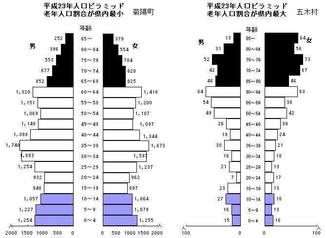 平成23年人口ピラミッド（老年人口割合が県内最小の菊陽町と、県内最大の五木村）