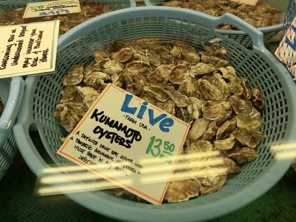 米国シアトルで販売されているKumamoto Oyster 