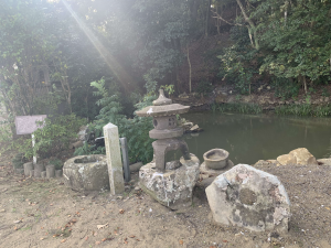 横の池