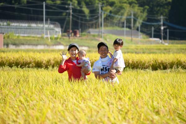 田園風景の写真