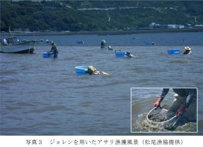 ジョレンを用いたアサリ漁獲風景