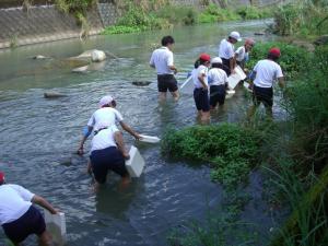 水生生物観察