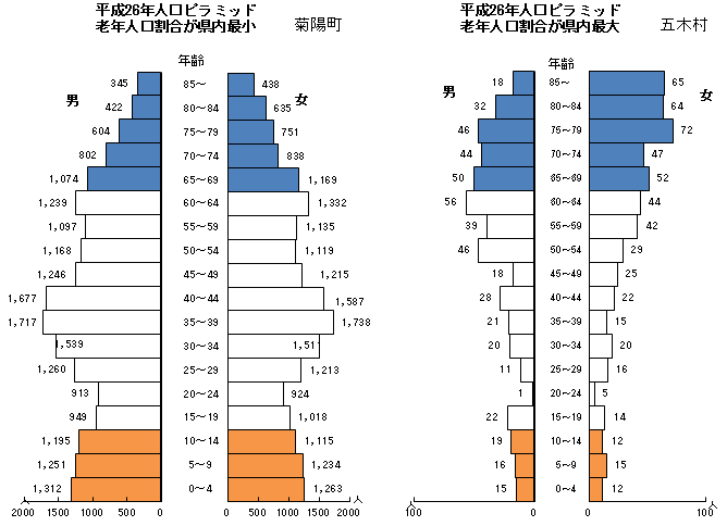 平成26年人口ピラミッド