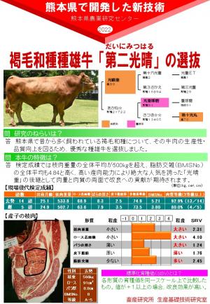 「褐毛和種種雄牛「第二光晴」の選抜」のポスター