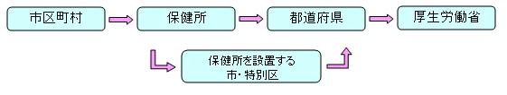 報告の系統の画像