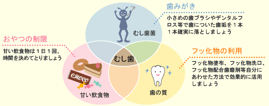 むし歯の原因と予防