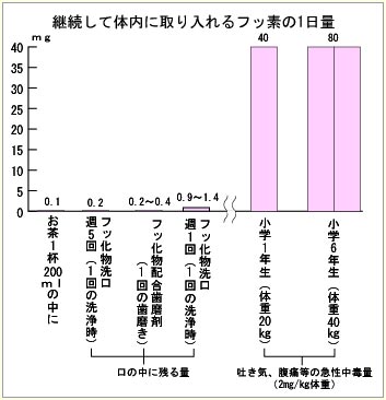 継続して体内に取り入れるフッ素の1日量グラフ