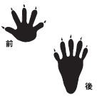 足跡2