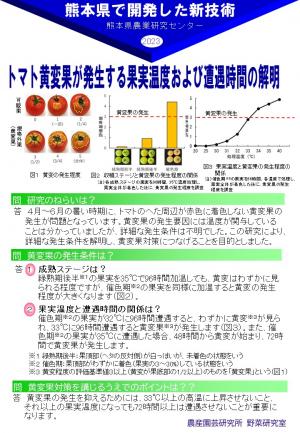 「トマト黄変果が発生する果実温度および遭遇時間の解明」のポスター