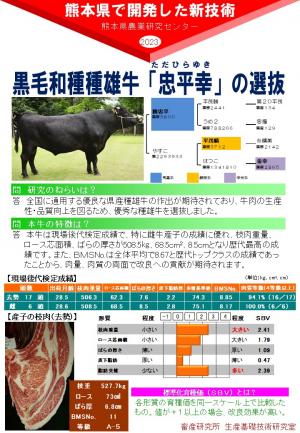 黒毛和種種雄牛「忠平幸（ただひらゆき）」選抜の成績ポスター