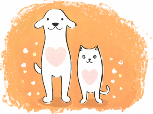 犬猫