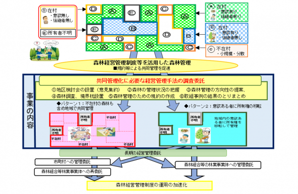 森林共同管理（イメージ）
