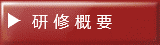 研 修 概 要