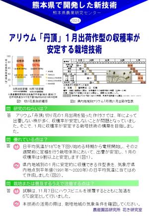 アリウム「丹頂」の栽培技術