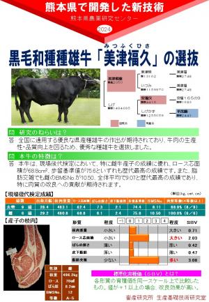 黒毛和種「美津福久」