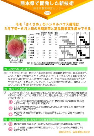 モモ「さくひめ」
