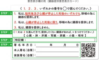臓器提供意思表示欄の例
