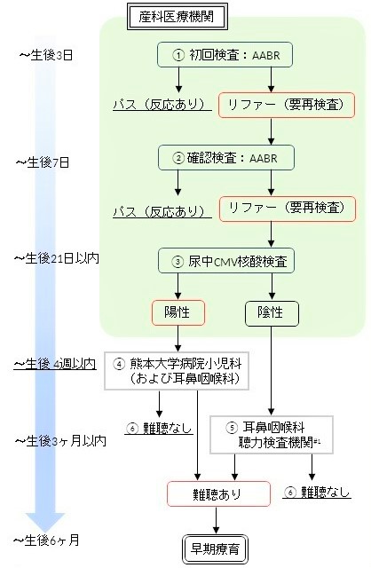 新生児聴覚スクリーニング検査のながれ