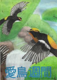 中２銅　高木さん