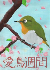 中２銅　窪田さん
