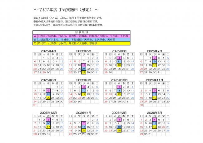 手術実施日（予定）
