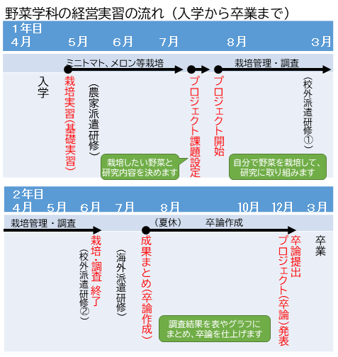 実習の流れ
