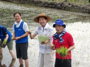 知事が田植えをしている写真