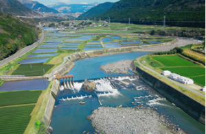 瀬田地区の冬季湛水水田