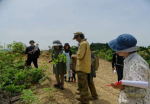 皆伐された山を緑豊かな森に蘇らせる活動
