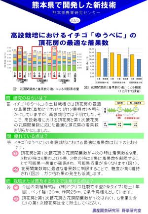 高設栽培におけるイチゴ「ゆうべに」の 頂花房の最適な着果数