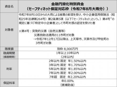 金融円滑化特別資金（SN枠）