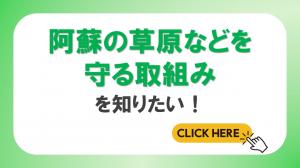 阿蘇の草原などを守る取組み