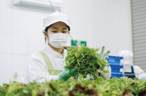 働くアインさん