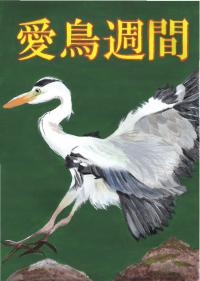 銅賞　橋本さん
