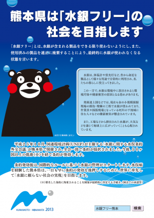 水銀フリーの啓発のチラシ画像です。