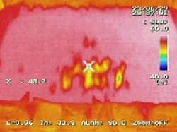 サーモグラフィーによるいぐさの乾燥状況の把握