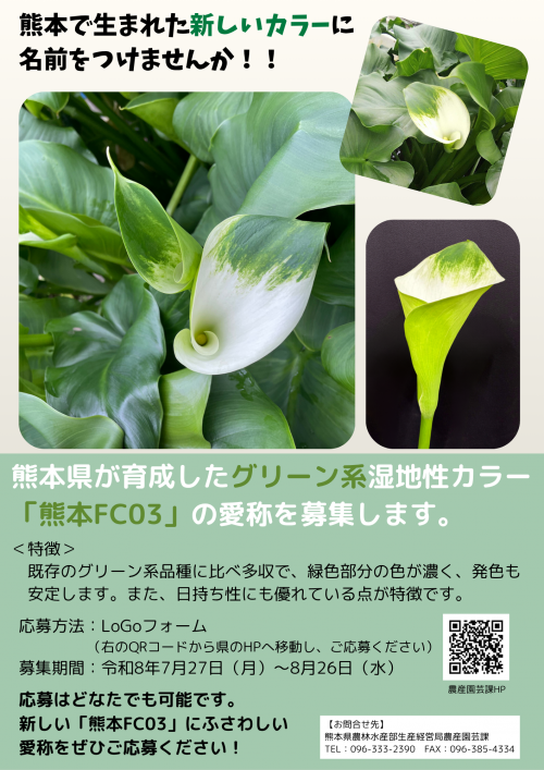 （チラシ）「熊本FC03」愛称募集