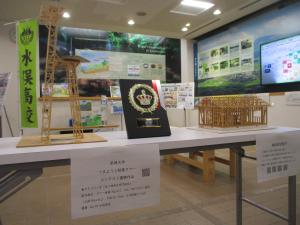 展示２
